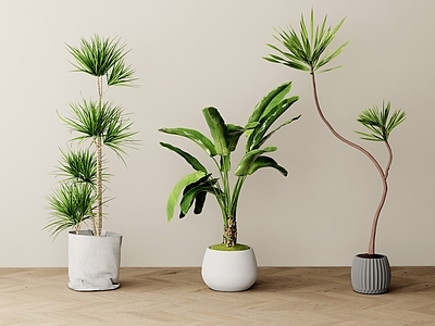 现代简约植物堆 现代植物组合 绿植盆栽 室内植物