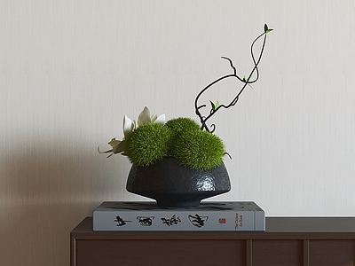 新中式花艺 插花 陶瓷花盆 绿色苔藓 书本装饰 书