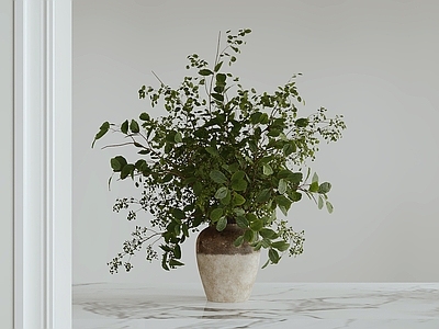 侘寂绿植摆件 绿植盆栽 陶瓷花瓶 大理石桌面 室内装饰 植物摆件