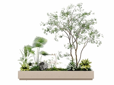 现代简约景观树 室内植物景观 现代绿植花箱 植物堆造景