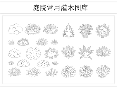 灌木种植 庭院灌木