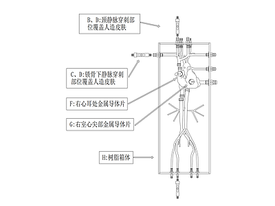 其他结构图纸 心脏血管图
