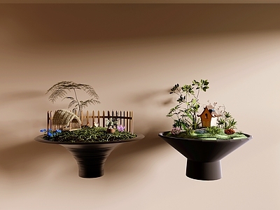 侘寂绿植摆件 植物 花草