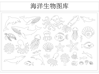 动物 海洋生物