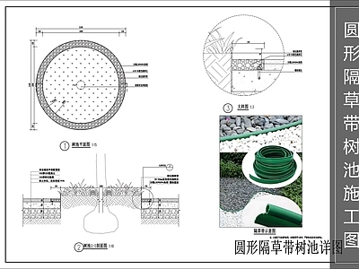树池