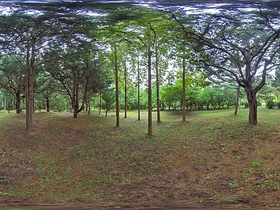 现代户外HDR