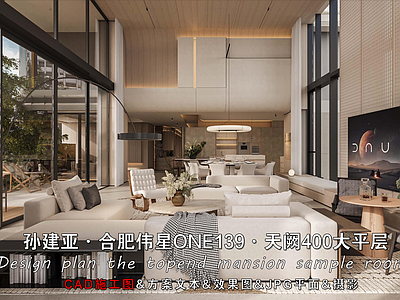 超大型平层 孙建亚首发施工图 合肥伟星 天阙400户型 大平层施工图