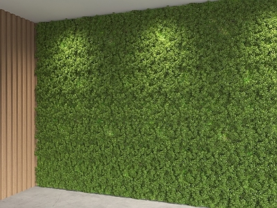 现代简约绿植墙 植物墙 前台背景墙 公司背景墙 形象背景墙 绿植墙