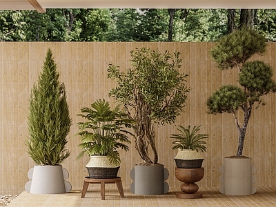 奶油风盆栽 植物堆组合 植物盆栽 室内盆栽植物 盆景盆栽组合