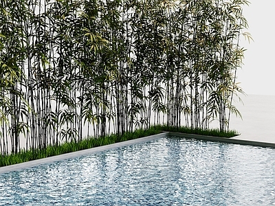 禅意竹子