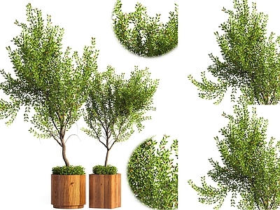 原木风绿植摆件 盆栽植物 室内盆栽盆景树木 户外植物树木盆栽 树木盆栽绿植 室内绿植盆栽