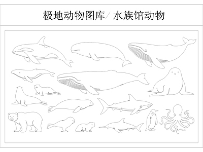 动物 极地动物