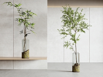 极简水生植物 现代绿植花瓶 水生植物 水生绿植 花瓶 盆栽