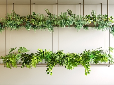 现代垂直绿化 吊篮植物 垂植物 植物花箱 吊篮绿植 植物吊饰