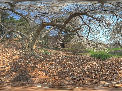 现代户外HDR