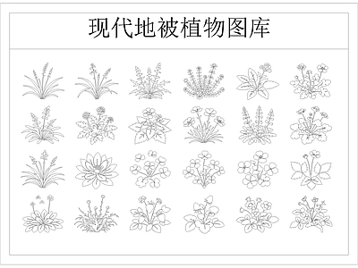 地被种植
