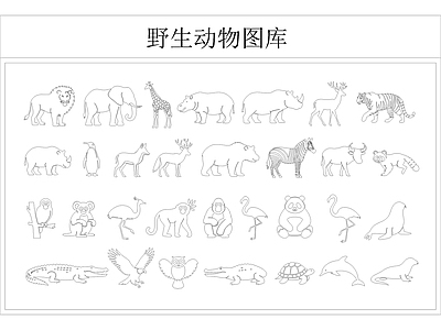 动物