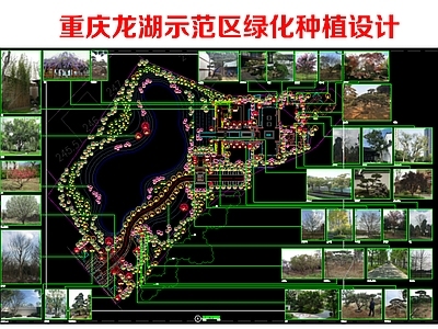 示范区景观 重庆龙湖绿化苗木 示范区种植设计 示范区景观平面图