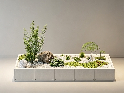 禅意室内景观 景观 植物堆 盆栽 植物