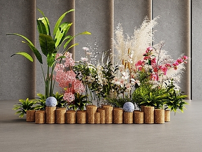 现代花草组合 花池 花坛