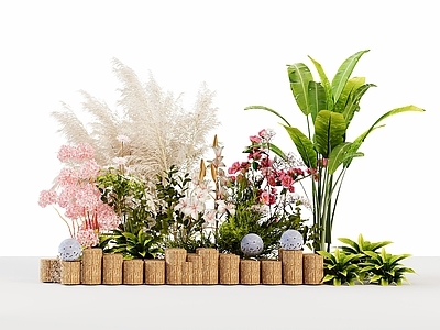 原木风花草组合 植物堆 户外植物