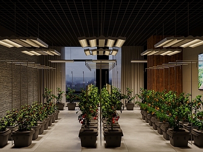 现代其他办公空间 植物光照实验室
