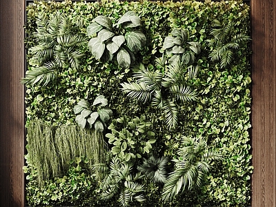 现代绿植墙 现代绿植墙 植物墙 苔藓墙 藤蔓墙 垂直绿化墙