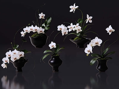 禅意花瓶 2D现代轻奢花艺 现代侘寂花瓶花艺 法式复古花艺 高级感花艺 软装摆件