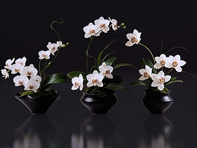 禅意花瓶 2D现代轻奢花艺 现代侘寂花瓶花艺 法式复古花艺 高级感花艺 软装摆件