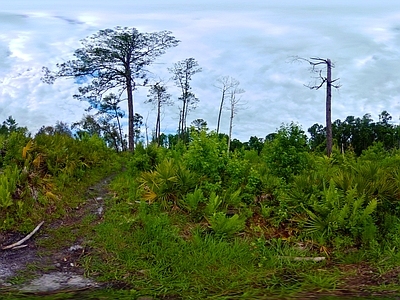 现代户外HDR