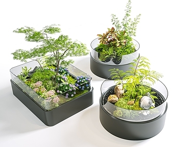 现代简约花境 花坛 圆形花箱 植物堆 阳台植物造景 玻璃花箱