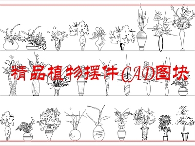 绿植 精品植物摆件