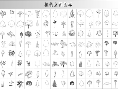 综合植物图库 植物立面图库