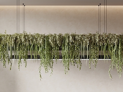 侘寂垂直绿化 绿植吊灯 吊篮绿植 植物吊灯 办公吊灯 吊灯