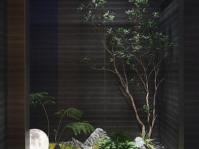 禅意室内景观 室内植物 绿植景观 装饰植物 空间分隔 室内植物景观