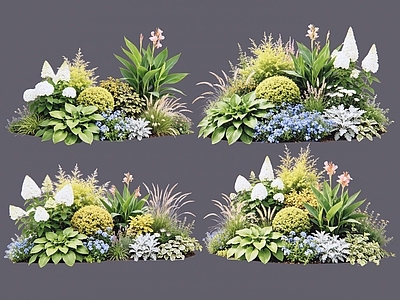 现代主义花境 2D植物组合 花卉花镜 花草镜植物组合 花草花丛 地被花灌木球