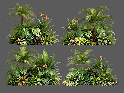现代主义花境 2D植物组合 花卉花镜 花草镜植物组合 花草花丛 热带植物组团