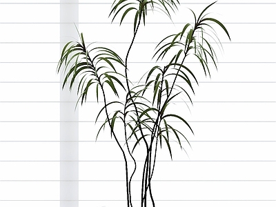 极简盆栽 盆栽植物 木质花盆 窗边绿植 书本摆件 金属桌腿