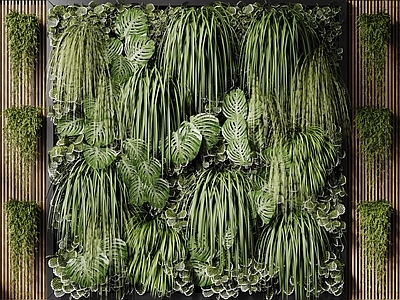 现代绿植墙 现代植物墙 垂直绿化墙