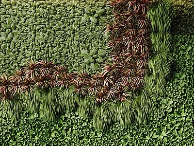 绿植墙 垂直绿化墙 现代植物墙