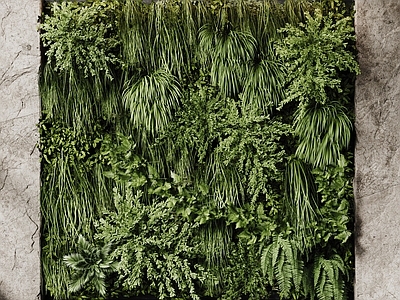侘寂绿植墙 现代植物墙 藤蔓墙 垂直绿化墙
