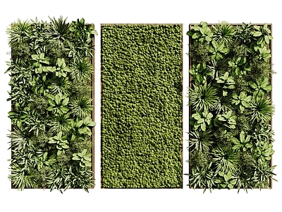 现代绿植墙 现代植物墙 藤蔓墙 苔藓墙