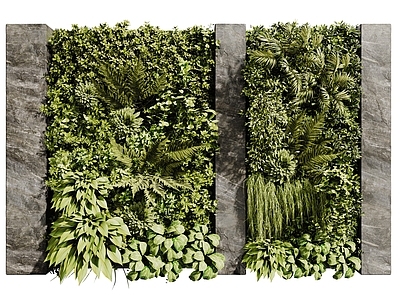 现代绿植墙 现代植物墙 藤蔓墙 垂直绿化墙