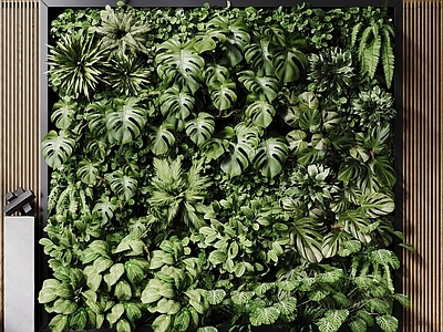 现代绿植墙 垂直绿化墙 现代植物墙 藤蔓墙