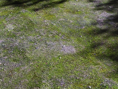 侘寂其他地面 现代草坪草地