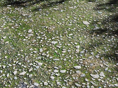 侘寂其他地面 现代草坪草地