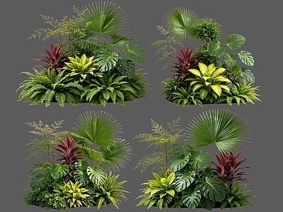 热带景观花境 2D植物组合 热带植物组团 花卉花镜 花草镜植物组合 花草花丛