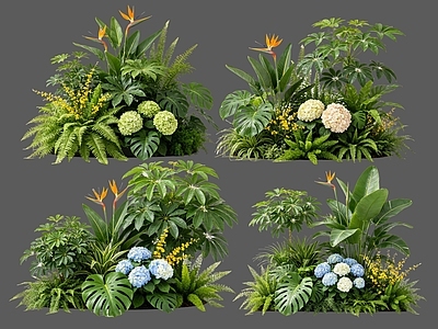 现代花境 2D植物组合 花卉花镜 热带植物组团 花草镜植物组合 花草花丛