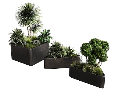 现代绿植摆件 现代绿植池组合 景观绿植 户外景观绿植 绿植摆件