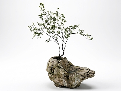 禅意盆景 禅意景观雕塑石